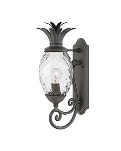 Hinkley Lighting - Plantation - HK-PLANTATION-M-MB - Black Clear Glass IP44 Outdoor Wall Light