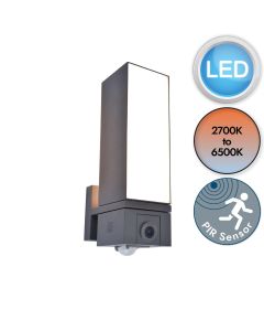 Lutec Connect - Cuba - 5193812118 - LED Dark Grey Opal IP44 Outdoor Sensor and Video Wall Light