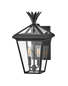 Hinkley Lighting - Palma - HK-PALMA-M-BK - Black Clear Glass 2 Light IP44 Outdoor Wall Light