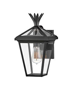 Hinkley Lighting - Palma - HK-PALMA-S-BK - Black Clear Glass IP44 Outdoor Wall Light