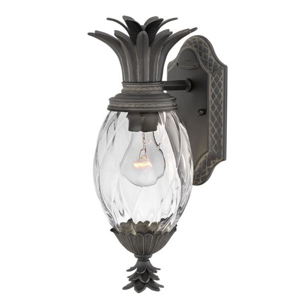 Hinkley Lighting - Plantation - HK-PLANTATION-S-MB - Black Clear Glass IP44 Outdoor Wall Light