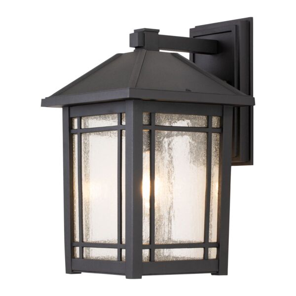 Quoizel Lighting - Cedar Point - QZ-CEDAR-POINT-L-BK - Black Clear Seeded Glass IP44 Outdoor Wall Light