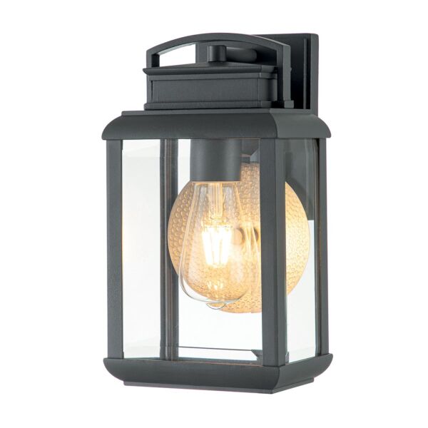 Quoizel Lighting - Byron - QZ-BYRON-S-GR - Black Pewter Clear Glass IP44 Outdoor Wall Light