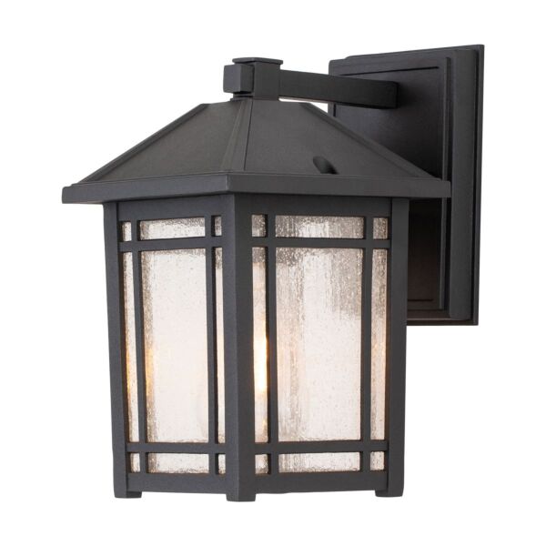 Quoizel Lighting - Cedar Point - QZ-CEDAR-POINT-S-BK - Black Clear Seeded Glass IP44 Outdoor Wall Light