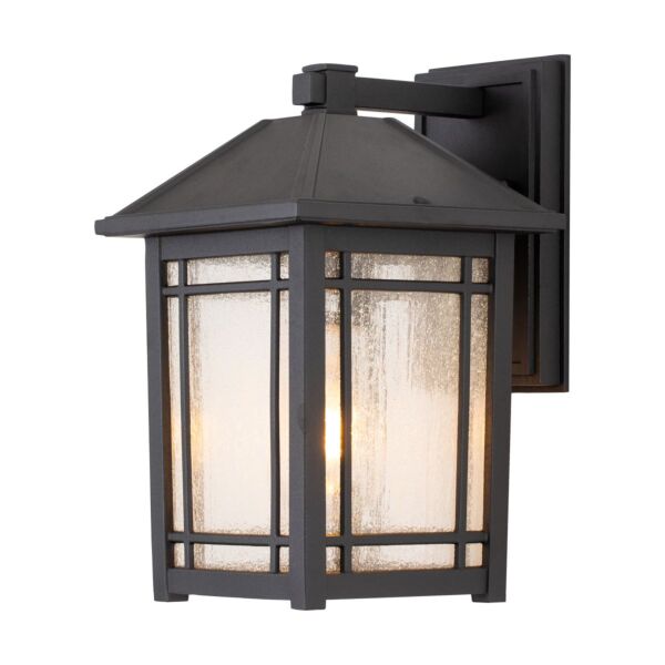 Quoizel Lighting - Cedar Point - QZ-CEDAR-POINT-M-BK - Black Clear Seeded Glass IP44 Outdoor Wall Light