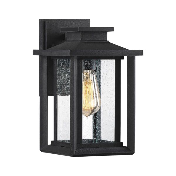 Quoizel Lighting - Wakefield - QZ-WAKEFIELD-S-TBK - Black Clear Seeded Glass IP44 Outdoor Wall Light