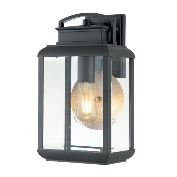 Quoizel Lighting - Byron - QZ-BYRON-M-GR - Black Pewter Clear Glass IP44 Outdoor Wall Light