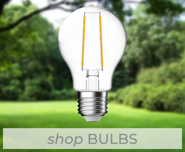 shop_bulbs2